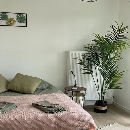 Studio T A 5Mn Euro Airport Avec Terrasse Saint-Louis  Εξωτερικό φωτογραφία