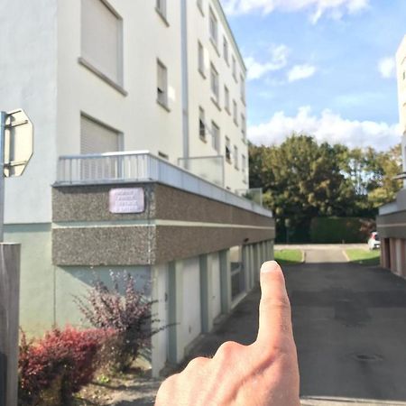 Studio T A 5Mn Euro Airport Avec Terrasse Saint-Louis  Εξωτερικό φωτογραφία