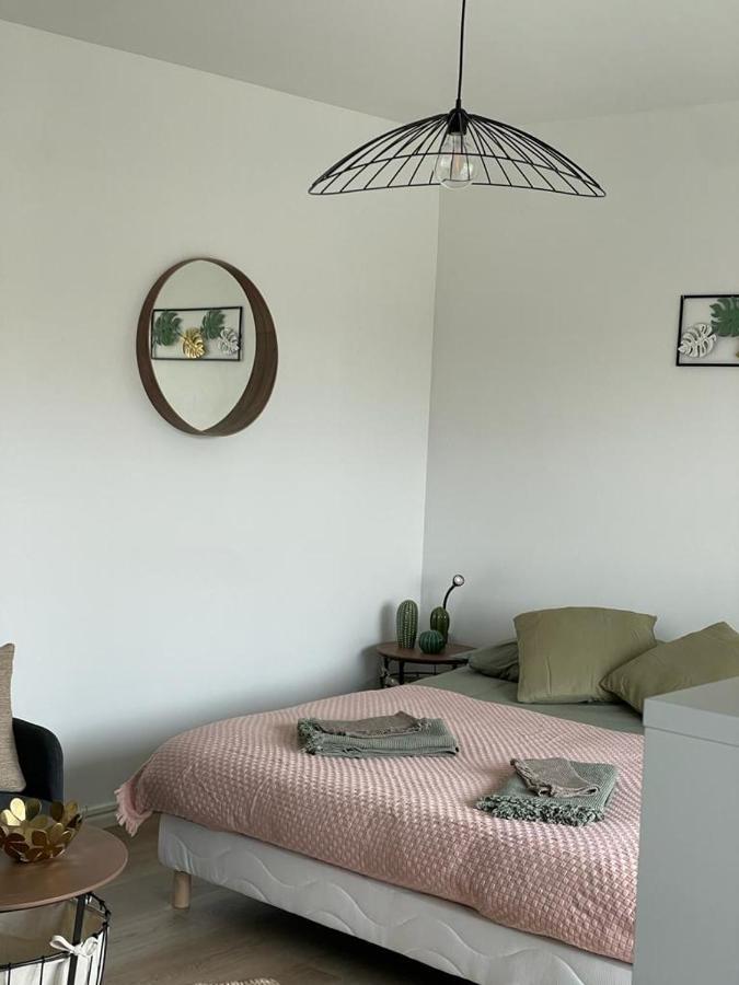 Studio T A 5Mn Euro Airport Avec Terrasse Saint-Louis  Εξωτερικό φωτογραφία