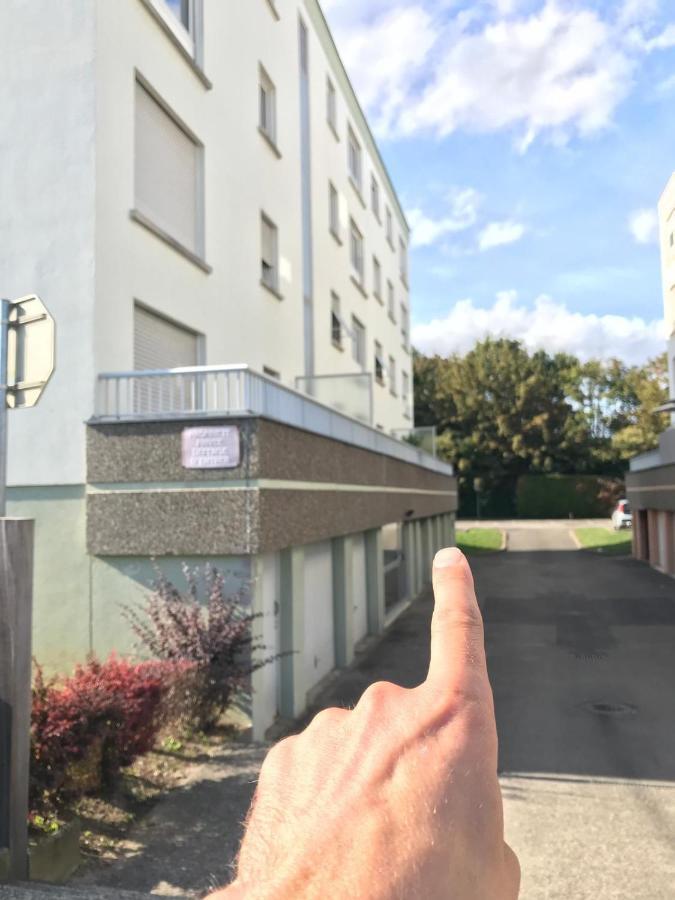 Studio T A 5Mn Euro Airport Avec Terrasse Saint-Louis  Εξωτερικό φωτογραφία